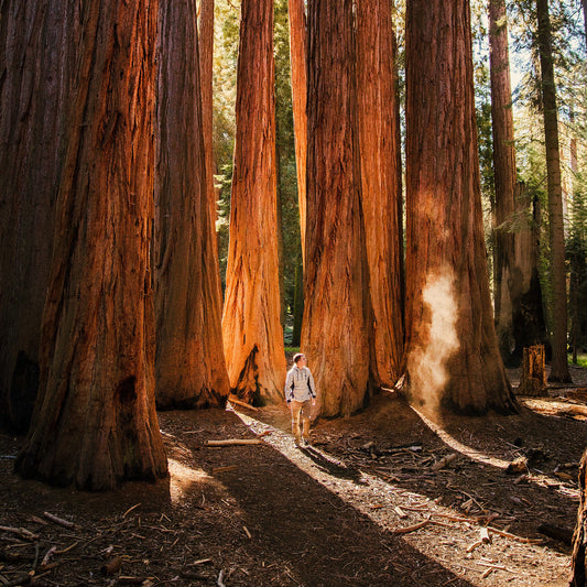 3 Reasons Nature Matters for Your Brain Health