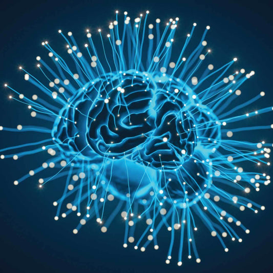 Unlock Your Brain's Potential